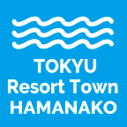 テットコム