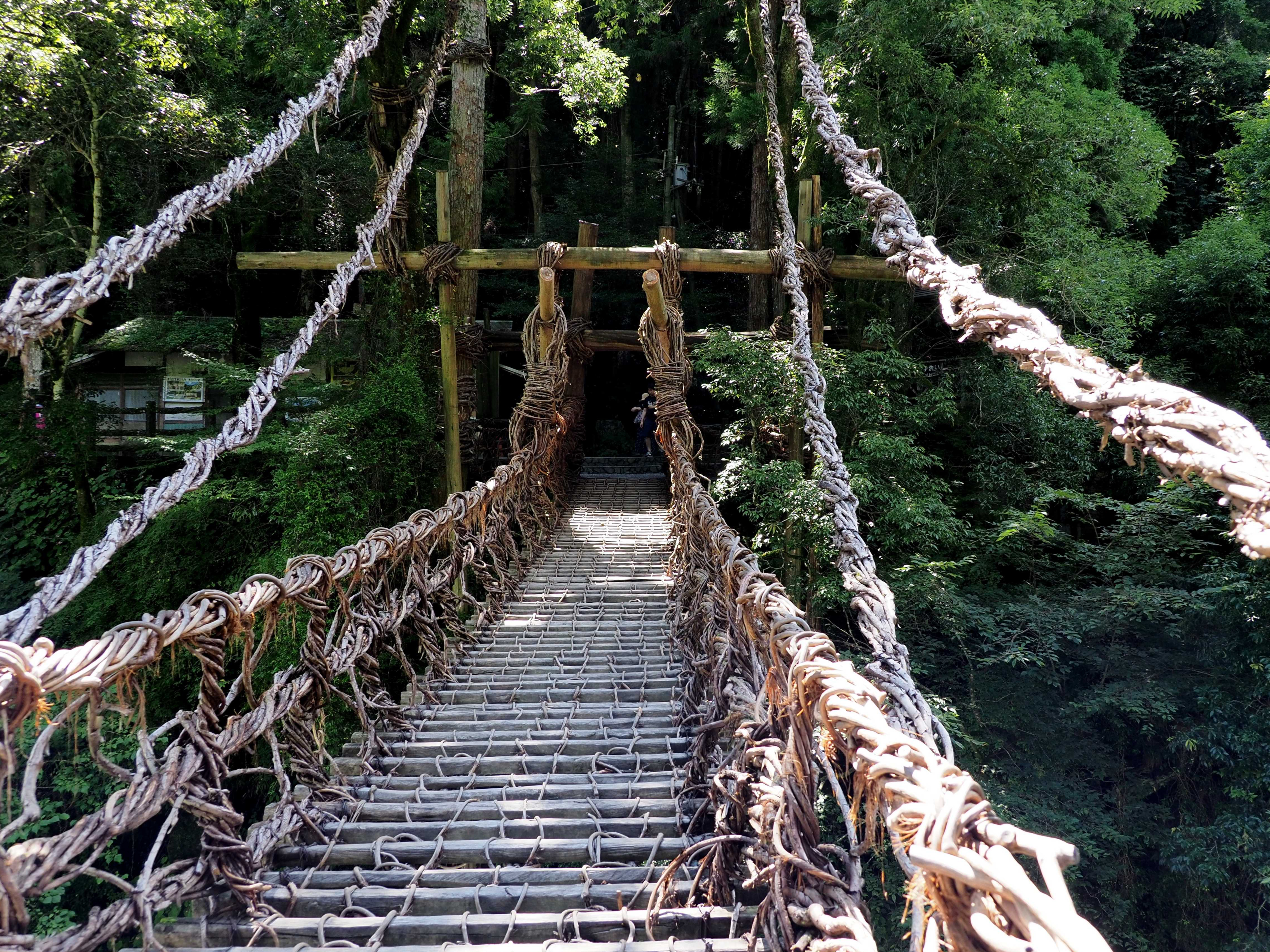 かずら橋・祖谷・吉野川コース